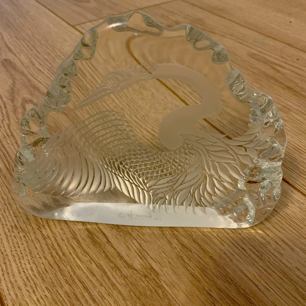 All Glass Reverse Etching of a bird (Peacock?) mix of clear and frosted glass.